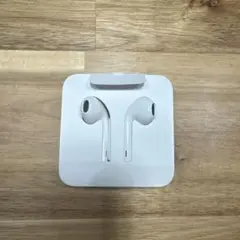Apple純正　有線イヤホン Lightning 変換アダプタ付き
