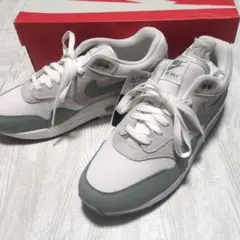 新品未使用 Nike Air Max 1 Mica Green マイカグリーン