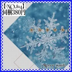 【NO.814】海外マステ PET 雪　結晶　冬　氷 コラージュ　デコ