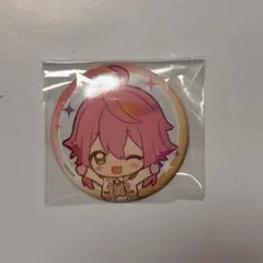 姫宮桃李 あんスタ コレクション 缶バッジ Dec casual 20個 姫宮桃李 あんスタ コレクション 缶バッジ Dec casual 20個