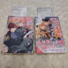 Item thumbnail for item e9470c2d-9f27-4f96-8cb0-1fc93f863e30