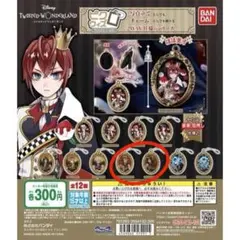 ツイステッドワンダーランド キーホルダー