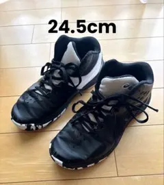 ASICS GEL-IMPROVE3 バスケットボールシューズ 24.5cmのサムネイル