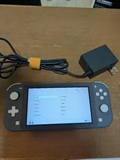 Nintendo Switch Lite グレー 本体 ACアダプター付き