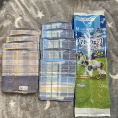 Item thumbnail for item 092fb734-22ea-425f-9ae9-a55f58fdb6d8