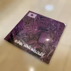 2026年最新】northernblueの人気アイテム - メルカリ