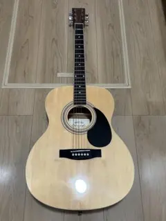 2025年最新】honey bee ハニービー アコースティックギターの