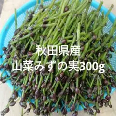 秋田県産 みずのこぶ みずの実 300g 採れたて - メルカリ