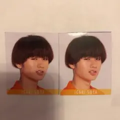 猪狩蒼弥 データカード デタカ セット