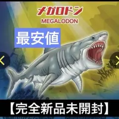 momo☆断捨離様 リクエスト 2点 まとめ商品