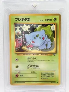 フシギバナ 乱戦！ポケモンスクランブル×ポケモンカードゲーム 乱 001