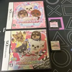 ⭐️Nintendo DSソフト⭐️2本セット。