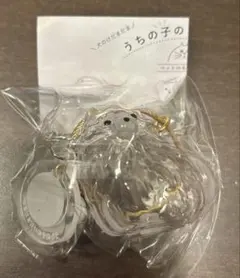 うちの子のけだまだま　ポメラニアン　犬