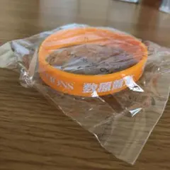 数原龍友 ゴムブレス