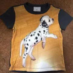 ASHLEY WILLIAMS / DALMATION BABY T