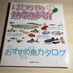 初めての熱帯魚飼育