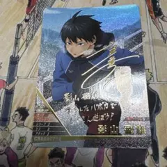 ハイキュー バボカ 日向翔陽 サイン HV-P01-001 4-1/767 - メルカリ