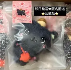 【最安値】NCT WISH wishdoll リク　クリ　ぬいぐるみ　キーリング