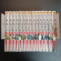 2025年最新】ライジングサンの人気アイテム - メルカリ