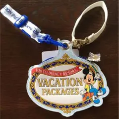 【新品 未使用】ディズニー ミッキーマウス パスケース  1つ