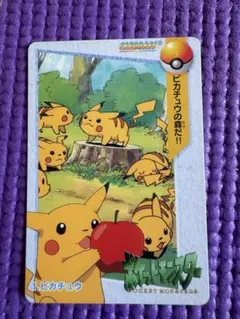 2026年最新】ピカチュウ カードダスの人気アイテム - メルカリ