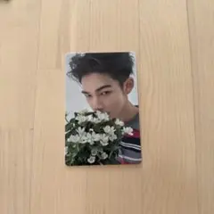 宵 ニキ トレカ