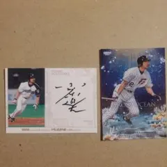 Item thumbnail for item 1547227f-574c-4458-8136-bff0988ec832