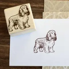 犬のはんこシリーズ＊アメリカンコッカースパニエル｜オリジナル スタンプ