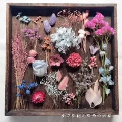 もりの様専用商品❤️ 小花のドライフラワー詰合せ 紫陽花ひな祭りルナ