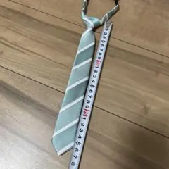 Item thumbnail for item 7eb58de6-1494-4985-8ce2-3dce685d61fc