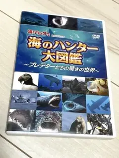 Item thumbnail for item a03bfcfe-32be-4385-9088-c841504e7c79