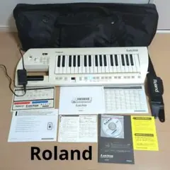 2026年最新】roland lucinaの人気アイテム - メルカリ