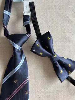 Item thumbnail for item 450c9747-c315-472c-93a7-99ba38601763