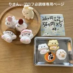 りさん。プロフ必読様専用ページ