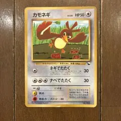 ポケモンカード カモネギ 旧裏面