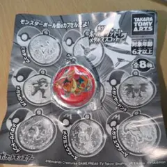 ポケットモンスター メタルコレクション2 リザードンY