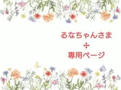 るなちゃんさま✢2点専用ページ