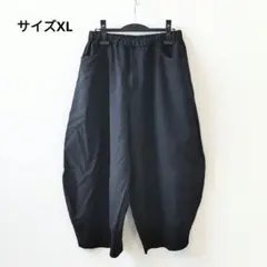 ブラックコムデギャルソン エステル スパン ブロード バルーン パンツ 寅壱 COMME des GARCONS 25AW エステルツイルバルーンパンツ XS - メルカリ