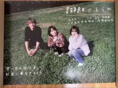 PEDROちっぽけな夜明け Tシャツ チャコール　Lサイズ　ポスターポストカード ちっぽけな夜明け complete set(サイン入りチェキ＋B2ポスター