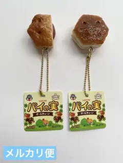 パイの実　ボーンチェーン　全2種