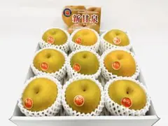 クーちん様　専用ページ　３箱　９月５日出荷指定