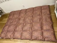 東京西川 超長綿100% セルビア産マザーグースダウン93% 1.2k 一層