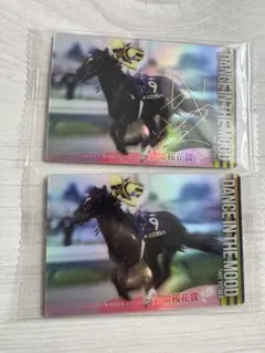 kokeo様 リクエスト 2点 まとめ商品