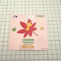 ピクミン テラス 宮島SA限定 ステッカー