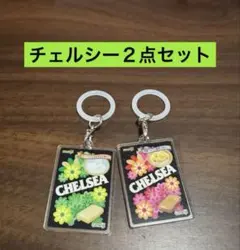 ★チェルシーセット★ Meijiアクリルキーチェーン　めじるしアクセサリーのサムネイル