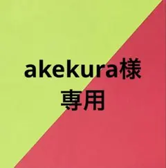akekura様 リクエスト 2点 まとめ商品