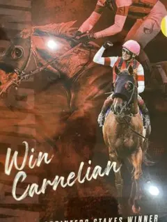 競馬　JRA ウインカーネリアン　クリアファイル