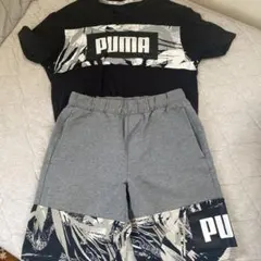 PUMA Tシャツ ショートパンツ セットアップ M