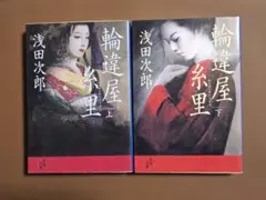 Item thumbnail for item 312ddfc5-753b-430e-908f-3bb98b1c42c6