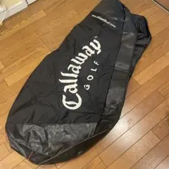 Item thumbnail for item d50b0705-7d73-441a-9d2e-5b76757560cf